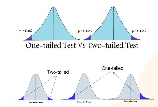 <p>These tables include one-tailed and two-tailed options. The difference depends on where we look for based on whether we predicted a direction.</p><p> Two-tailed tests are used when we seek any significant difference from the null without predicting direction, so extreme results on either side count.</p><p> One-tailed tests apply when we predict a specific direction, like expecting anxiety scores to decrease; only extreme values in that direction matter.</p><p>A one-tailed test is more liberal because it places the entire alpha level of .05 in one tail, creating a larger rejection region. </p><p>A two-tailed test is more conservative, splitting alpha between both tails, producing smaller rejection regions in both tails </p><p>This difference explains why a z score of 1.80 is significant one tailed but not two tailed, offering power yet risking missed opposite effects.</p>