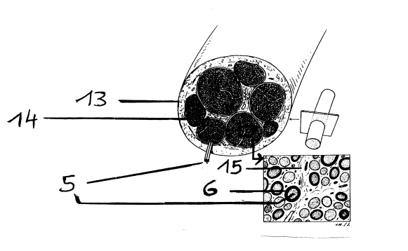 <p>13</p>