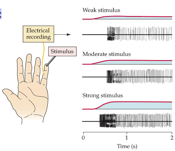 <p>This is an example of a: </p>