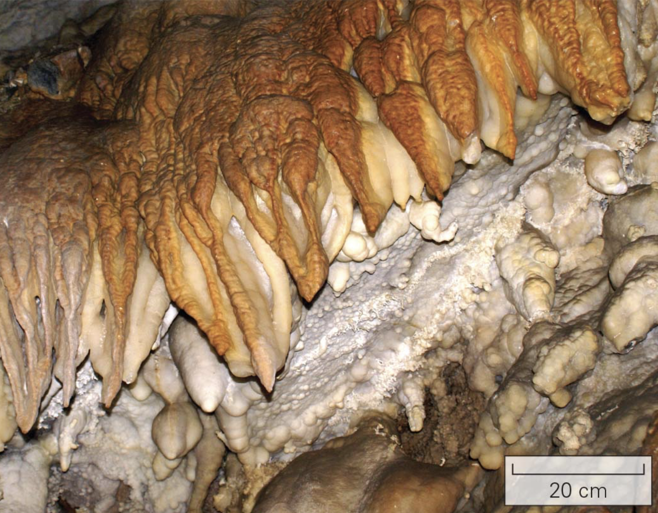<p>grows on the walls of caves where groundwater seeps out where travertine builds up beautiful and complex growth forms called speleothems </p>