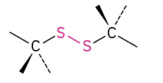 <p>A compound containing a bond between two sulfur atoms, typically found in proteins.</p>
