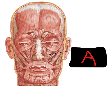 <p>Define A</p>