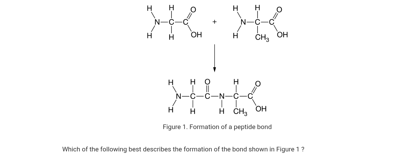 <p>1.3 — Question #1</p>