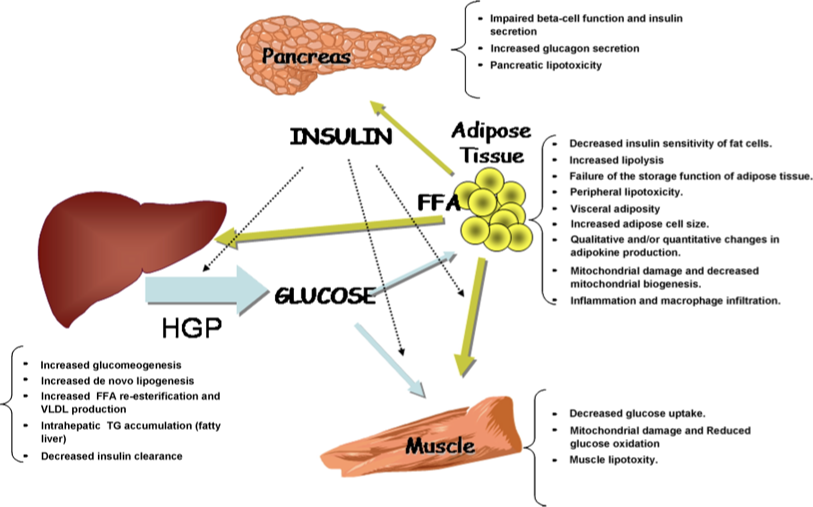 <p>(not on leighow’s pp)</p>