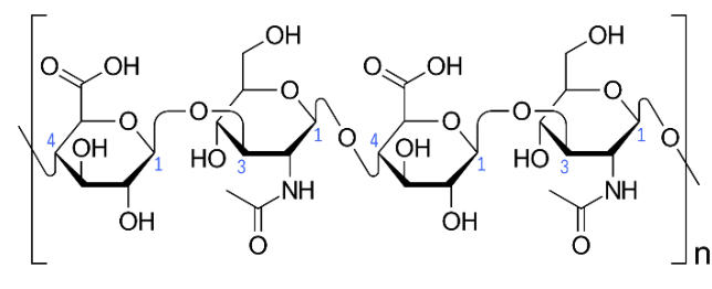 <p>Complex Carbohydrates : Glycosaminoglycans (Hyaluronan)</p>