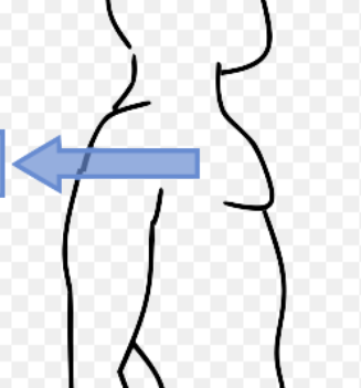 <p>movement of shoulder posterior</p>