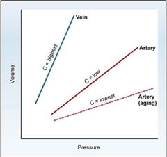 <p>High compliance, low stiffness, acts as volume reservoir.</p>