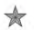 <p>One silver star.</p>