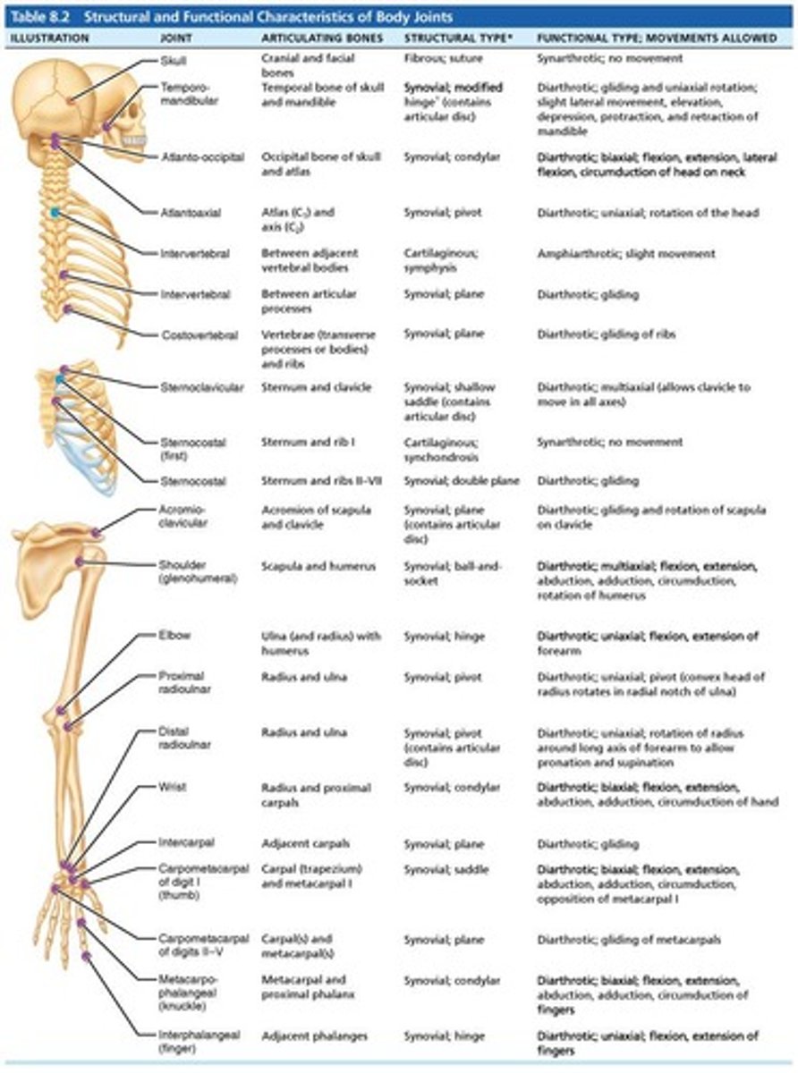 <p>Plane, hinge, pivot, condylar, saddle, and ball-and-socket joints.</p>