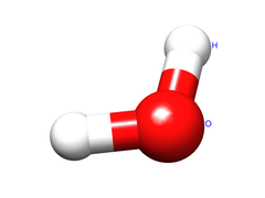 <p>water molecule</p>