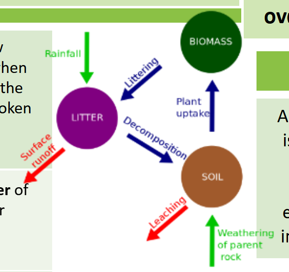 <p>litter- the surface layer of vegetation which over time breaks down to become humus.</p><p>biomass- the total mass of living organisms per unit area</p><p>&nbsp;&nbsp;</p>