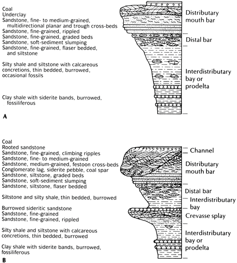 <p><span>Typical sequence shows coarsening upwards as delta progrades (builds seaward)…</span></p>