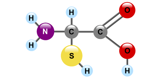 <p>What biomolecule has such structuring?</p>