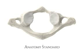 <p>what is this? </p>