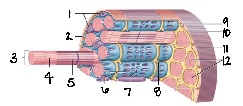 <p>What is structure #2?</p>