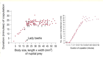 <img src="https://assets.knowt.com/user-attachments/93842548-3cc0-4668-ac99-c7a60eea8803.png" data-width="100%" data-align="center"><p></p>