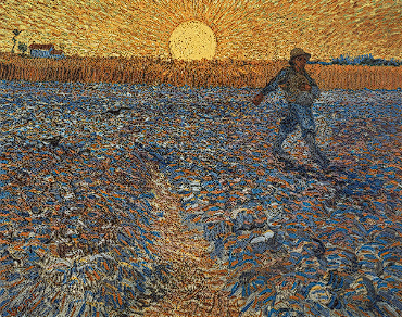 term image