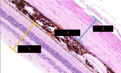 <p>1</p>