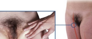 <p>groin area between the pubic bone and the anterior iliac crest </p>