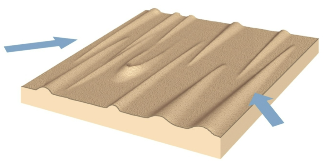 <ul><li><p>long, parallel ridges</p></li><li><p>aligned parallel to the wind direction</p></li><li><p>winds generally converge from slightly different directions </p></li><li><p>30-100 m high; 100 km long </p></li></ul><p></p>