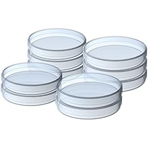 <p>Croissance de micro-organismes ou de cellules</p>