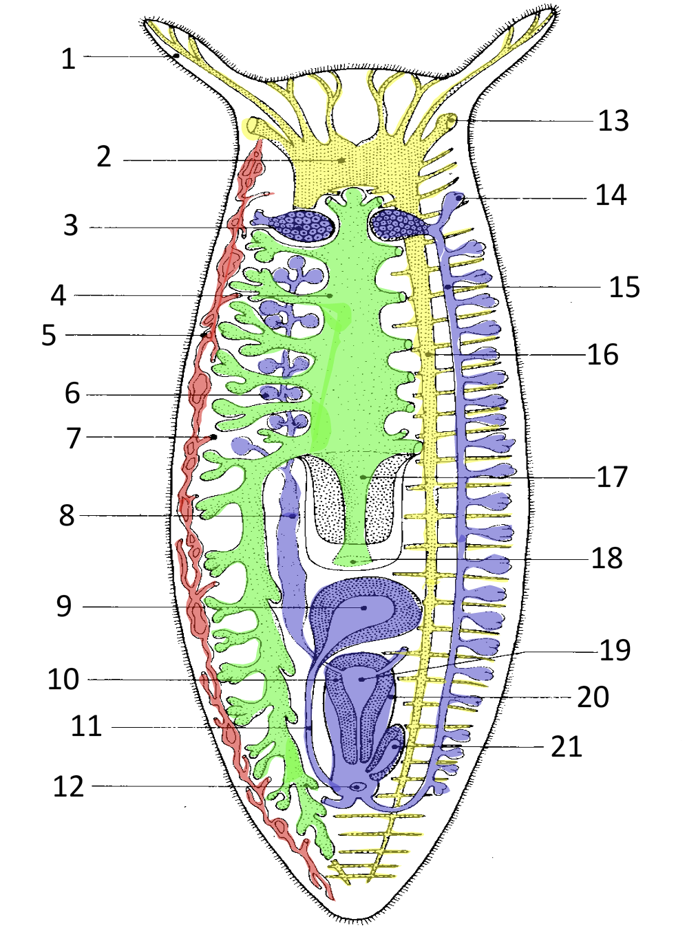<p>19</p>