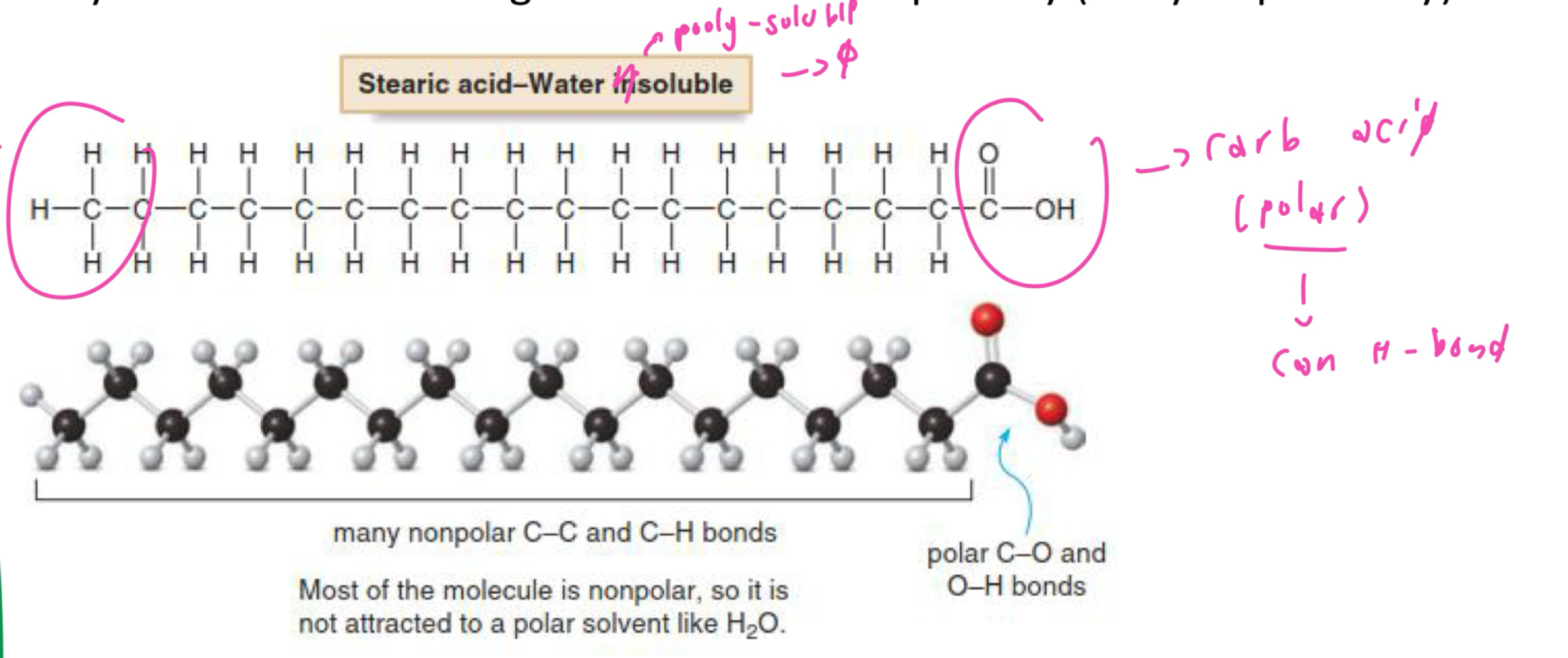 <p>ration od polar to non-polar</p><p>→ solubility of substance change w/its size and polarity </p><ul><li><p>IN H-bond , IN hydrophilicity</p></li></ul><p></p>