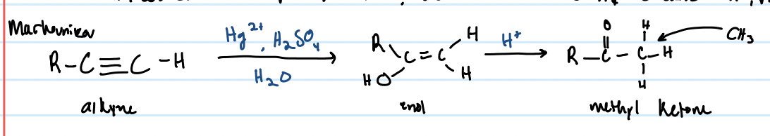 <p>uses Hg2+, H2SO4, and water</p>