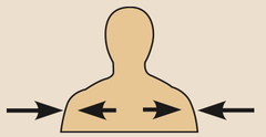 <p>toward or at the body surface</p>