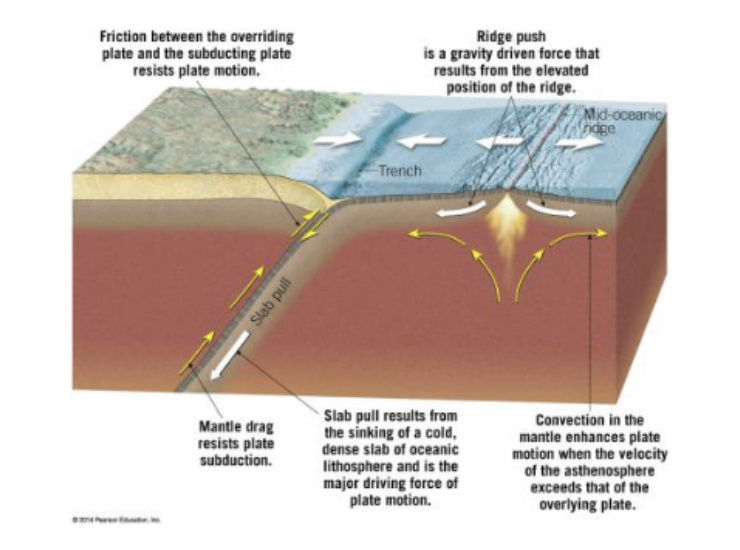 <p>4 driving forces for plate tectonics </p>