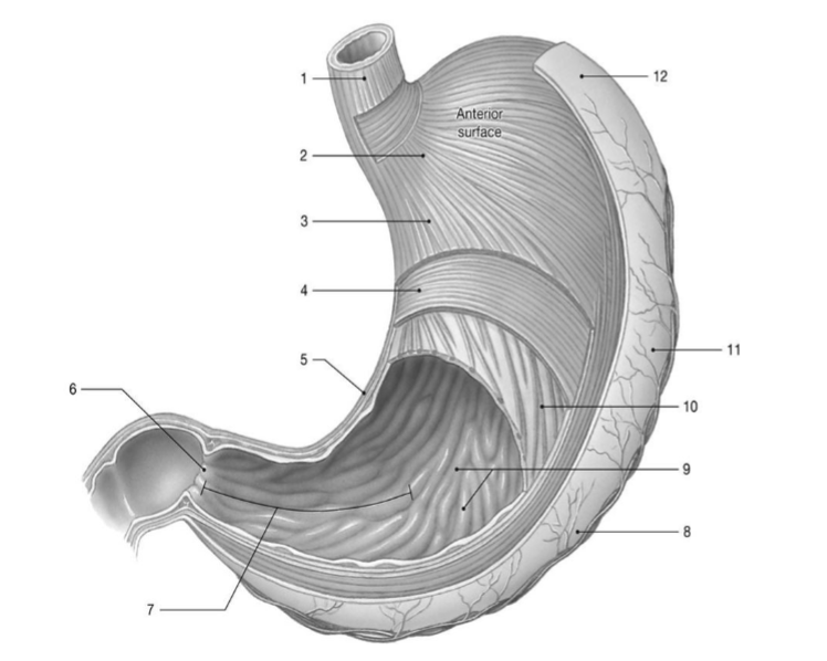 <p>what is structure โ2โ</p>