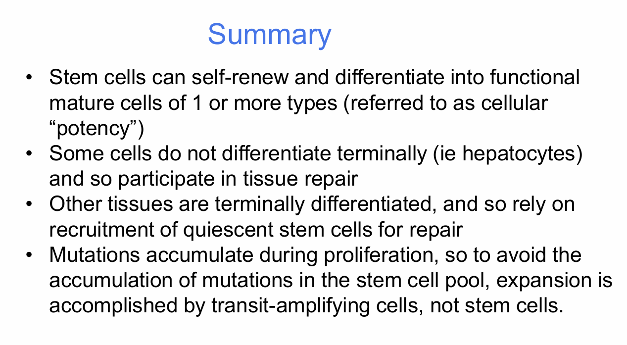 <p>What are the major take-home messages from Stem Cells I?</p>