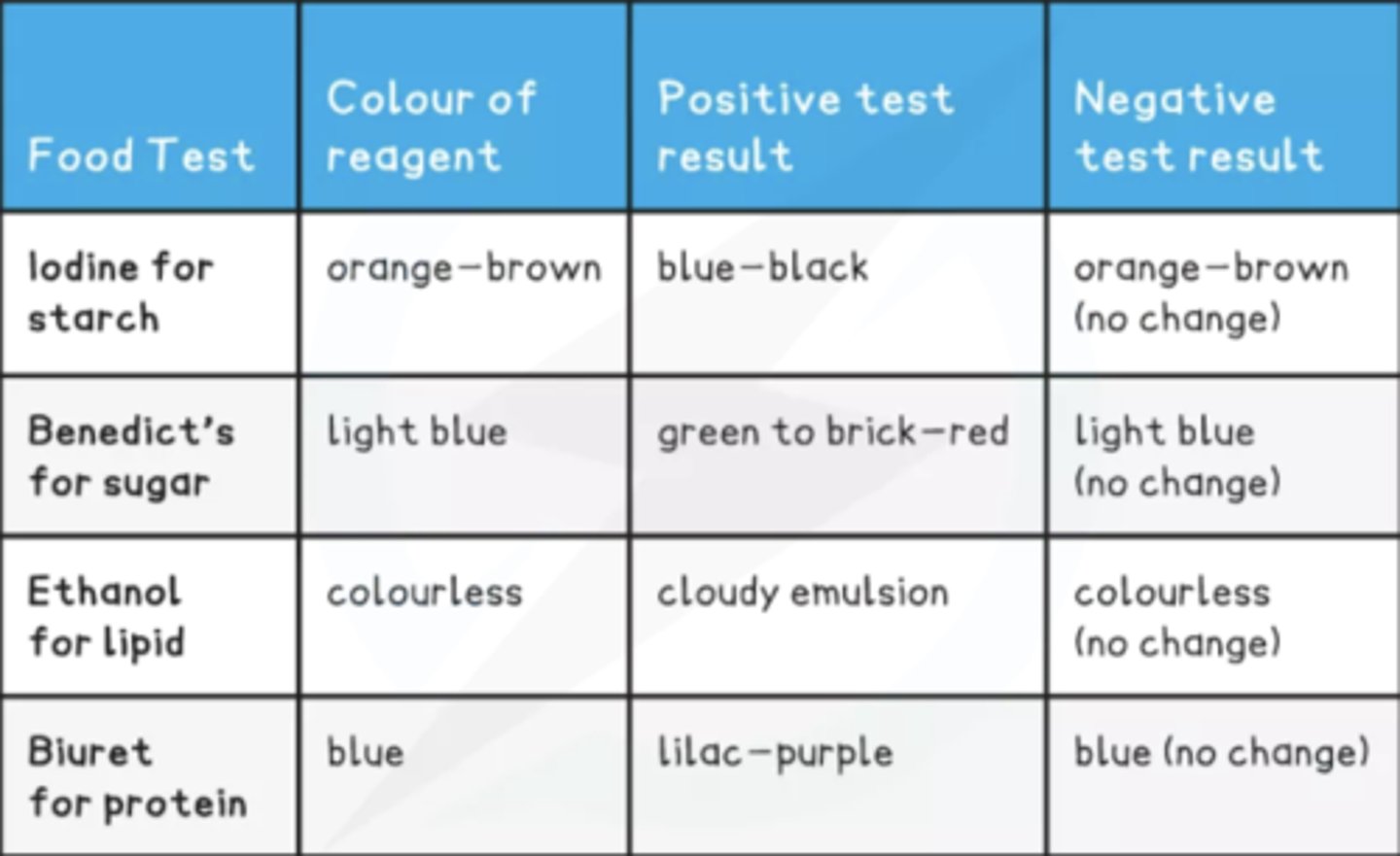 <p>- Food tests</p><p>- Scale, magnification & micrographs</p><p>- Biological drawings</p><p>- Tables</p><p>- Graphs</p><p>- Enzymes (temperature, pH)</p>