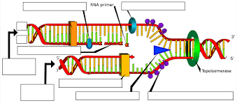 <p>what is the blue arrow and what is its purpose</p>