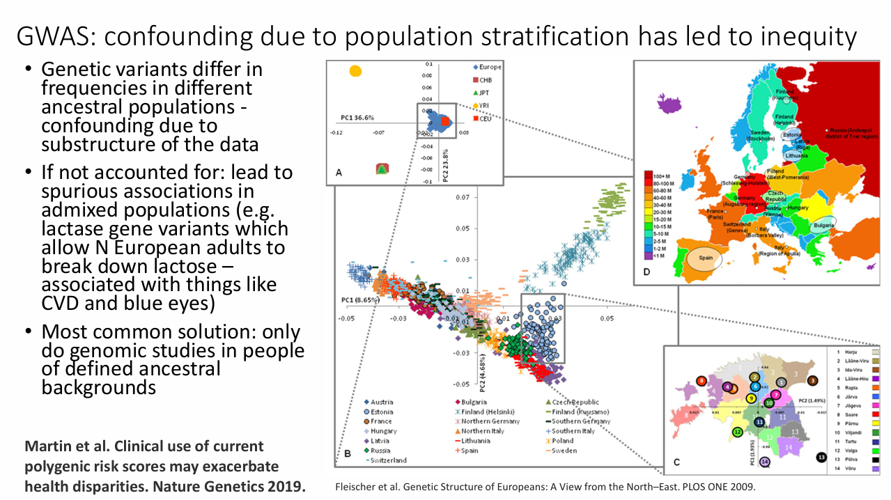 <p>How does population stratification produce confounding in GWAS?</p>
