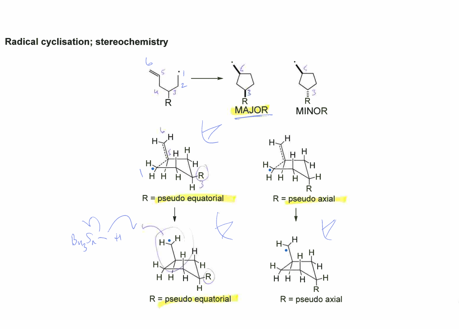 <p>The reaction proceeds through the <strong>lowest-energy chair-like transition state</strong>., cis is preffered</p>