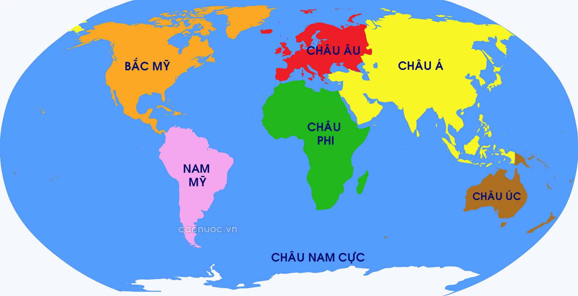 <p>continent (n)</p>