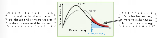 <ul><li><p>If you increase the temperature, the particles will, on average, have more kinetic energy and will move faster.</p></li><li><p>So, a greater proportion of molecules will have at least the activation energy and be able to react. This changes the shape of the Boltzmann distribution curve, it pushes it over to the right.</p></li><li><p>Because the molecules are flying about faster, they will collide more often. This is another reason why increasing the temperature makes a reaction faster.</p></li></ul><p></p>