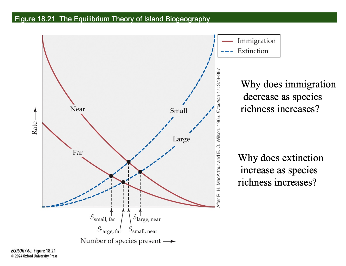 <p><span>The Equilibrium Graph</span></p>