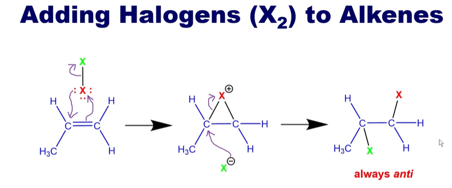 <p>Always <strong>ANTI</strong></p><p></p><p><strong>NO REARRANGMENTS DUE TO RINGED HALOGEN INTERMEDIATE</strong></p>