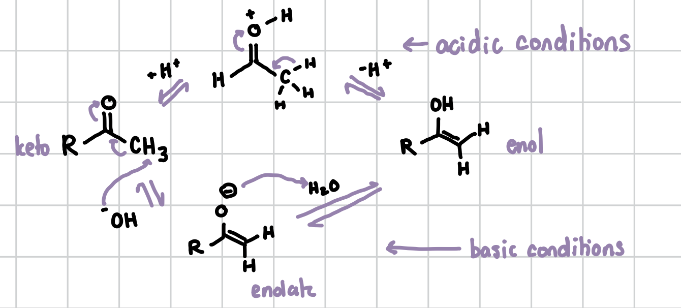 <p>This reaction serves to go from the keto form of a molecule to its enol form. The keto form (electrophile) is a ketone or aldehyde, and the enol form (nucleophile) is an alcohol and alkene. These reactions can take place under acidic conditions or basic conditions. Ketones favor the enol confirmation while aldehydes favor the keto confirmation. Adding an acid and removing it makes the keto into an enol. Adding a base and then adding water takes the enol to a keto. </p>