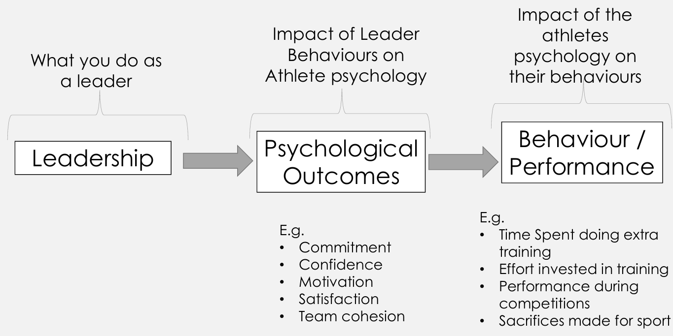 <p><span>Leadership → Psychological outcomes → Behaviour/performance</span></p>