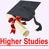 <p>higher education</p>