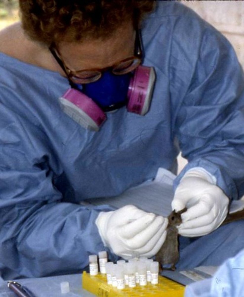 <p>dịch tễ học</p><p>ex: Governments must rely on ... to formulate evidence-based policies that preemptively mitigate public health crises</p>