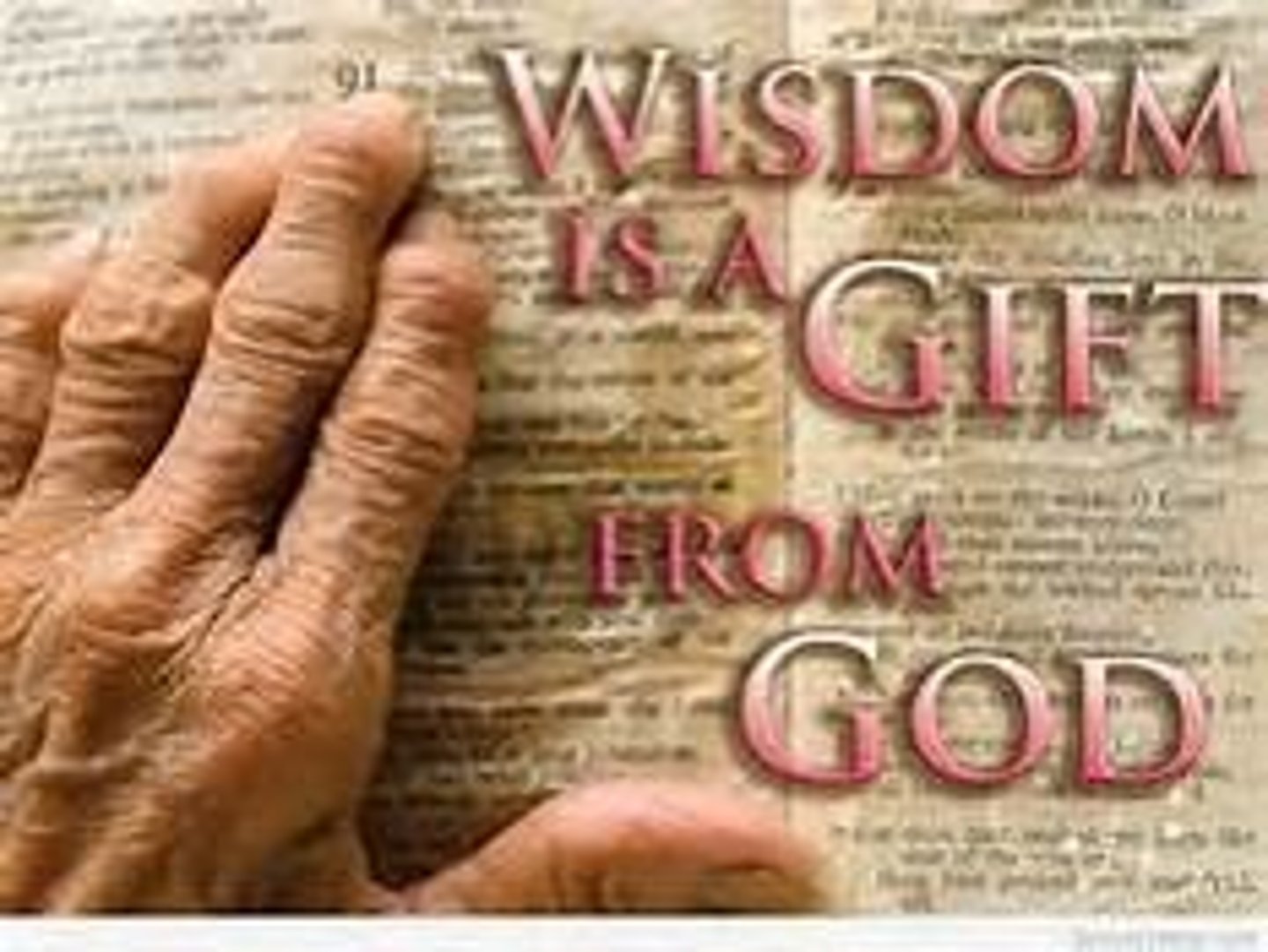 <p>wisdom</p>