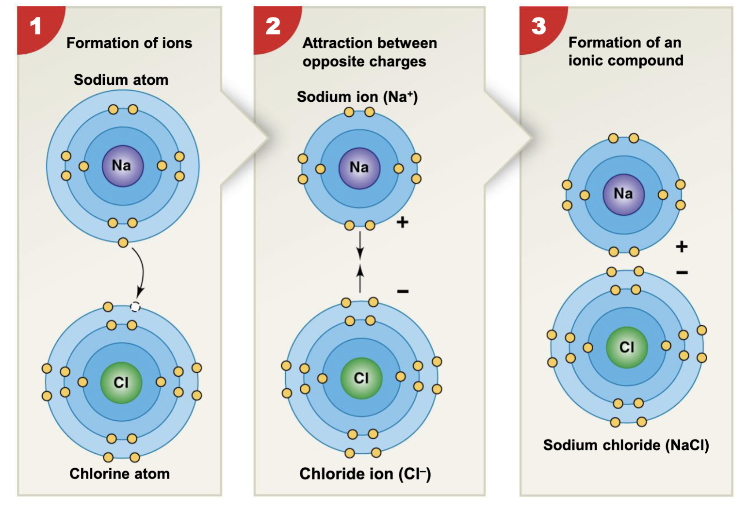 <p>Ionic bond</p>