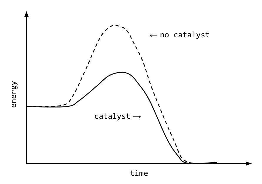 <p><span style="background-color: transparent;">speed up the rate of a reaction by reducing the activation energy (E<sub>a</sub>) necessary to form one of the transition state molecules.</span></p>