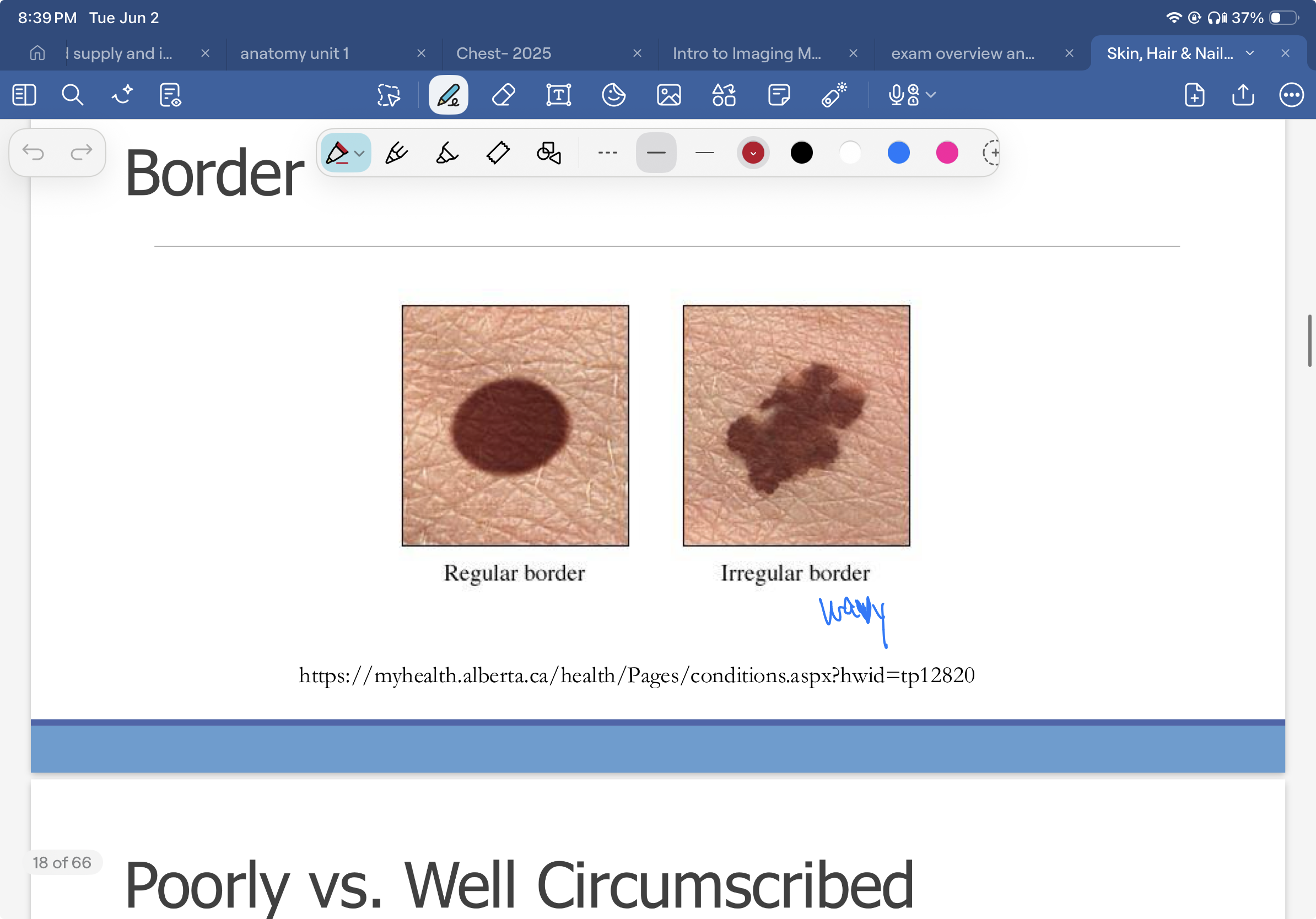 knowt flashcard image