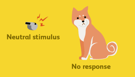 <p>Neutral stimulus </p>