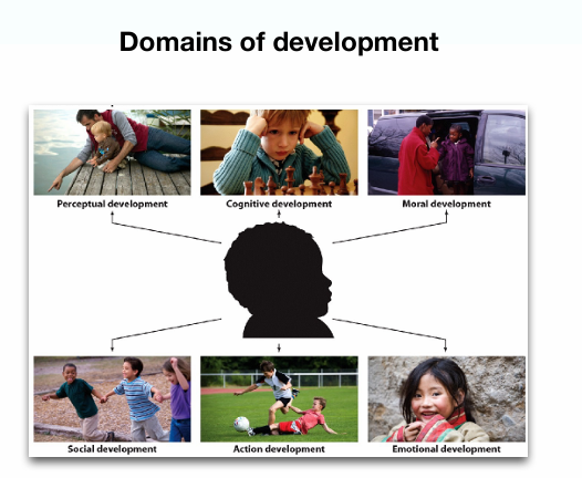 <p></p><p><span data-name="small_blue_diamond" data-type="emoji">🔹</span><strong> Neuroconstructivism (tegenhanger)</strong></p><p><span data-name="point_right" data-type="emoji">👉</span> Kennis = ontstaat door interactie tussen:</p><ul><li><p>brein</p></li><li><p>lichaam</p></li><li><p>omgeving</p></li><li><p>ervaring</p></li></ul><p></p><p></p><p>1:44?? plaatje even terugkijken</p>